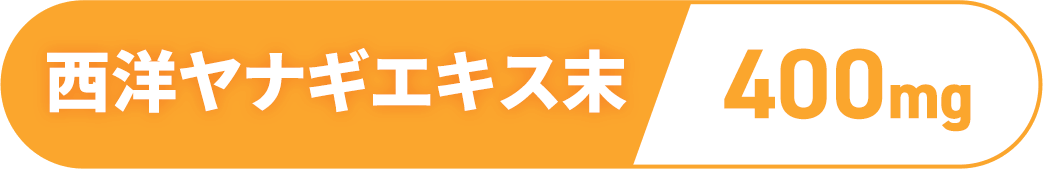 ���m���i�M�G�L�X���^400mg