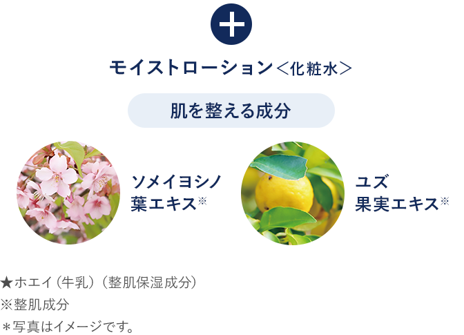 �{���𐮂��鐬���i�\���C���V�m�t�G�L�X�A���Y�ʎ��G�L�X�j