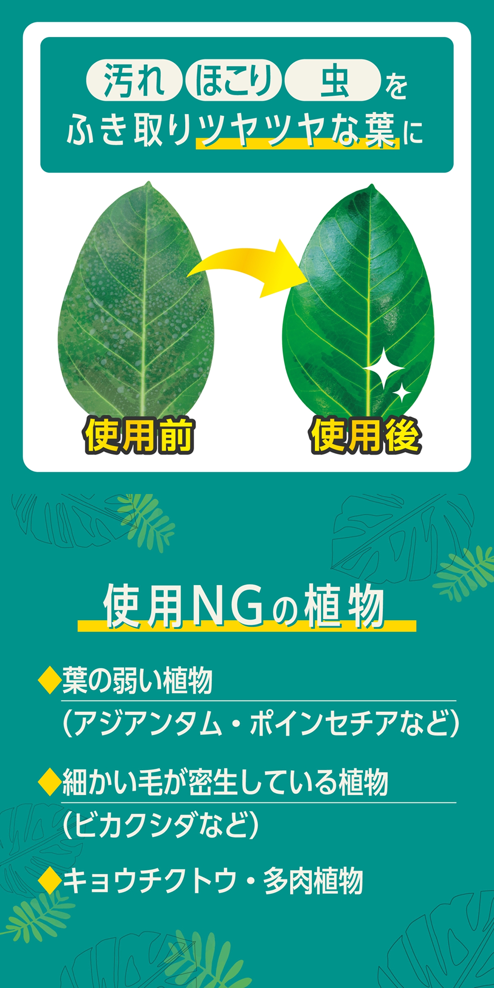 ����A�ق���A�����ӂ����c���c���ȗt��
            �g�pNG�̐A��
            �t�̎ア�A���i�A�W�A���^���E�|�C���Z�`�A�Ȃǁj
            �ׂ����т��������Ă���A���i�r�J�N�V�_�Ȃǁj
            �L���E�`�N�g�E�E�����A��