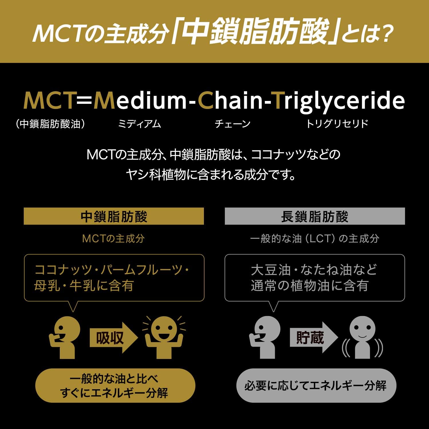 MCT�̎听���u�������b�_�v�Ƃ́H