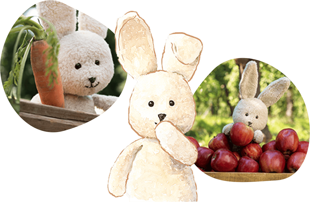 �L�����N�^�[