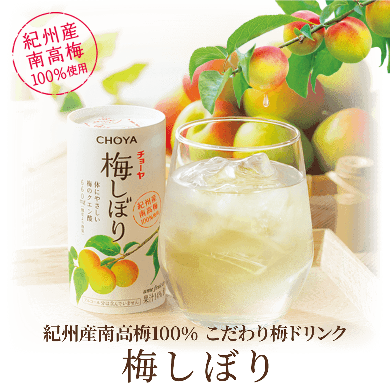 �I�B�Y�썂�~100�� �������~�h�����N �~���ڂ�