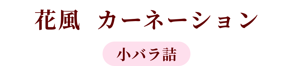 �ԕ� �J�[�l�[�V���� ���o���l