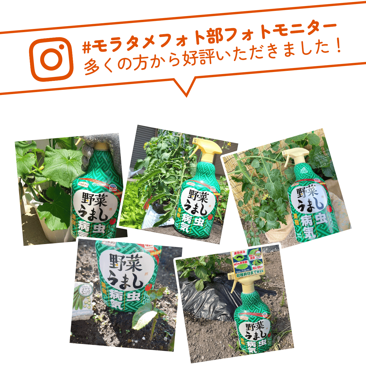 �������^���t�H�g�����j�^�[�@�����̕�����D�]���������܂����I