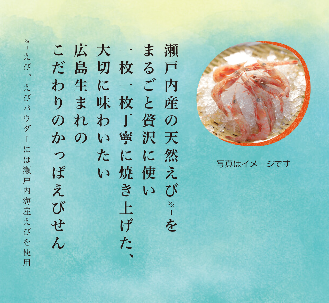 瀬戸内産の天然えび※1をまるごと贅沢に使い一枚一枚丁寧に焼き上げた、大切に味わいたい広島生まれのこだわりのかっぱえびせん
※1 えび、えびパウダーには瀬戸内海産えびを使用