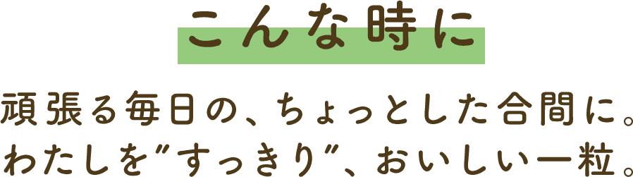 ����Ȏ��� �撣�閈���́A������Ƃ������ԂɁB�킽�����g��������h�A���������ꗱ�B