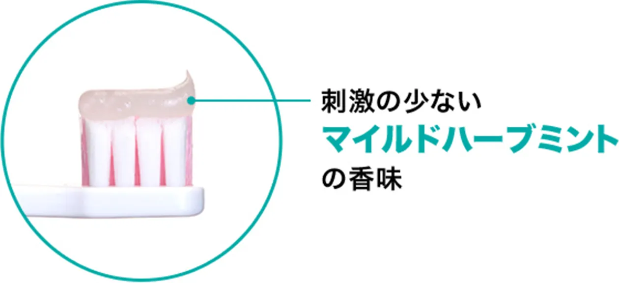 刺激の少ないマイルドハーブミントの香味