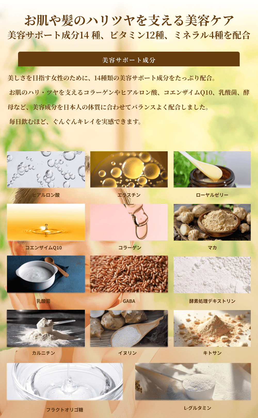 �����┯�̃n���c�����x������e�P�A�B���e�T�|�[�g����14��A�r�^�~��12��A�~�l����4���z���B�y���e�T�|�[�g�����z��������ڎw�������̂��߂ɁA14��ނ̔��e�T�|�[�g�����������Ղ�z���B�����̃n���E�c�����x����R���[�Q����q�A�������_�A�R�G���U�C��Q10�A���_�ہA�y��ȂǁA���e��������{�l�̑̎��ɍ��킹�ăo�����X�悭�z�����܂����B�������ނقǁA���񂮂�L���C�������ł��܂��B�z�������F�q�A�������_�A�G���X�`���A���[�����[���[�A�R�G���U�C��Q10�A�R���[�Q���A�}�J�A���_�ہAGABA�A�y�f�����f�L�X�g�����A�J���j�`���A�C�k�����A�L�g�T���A�t���N�g�I���S���AL-�O���^�~���B