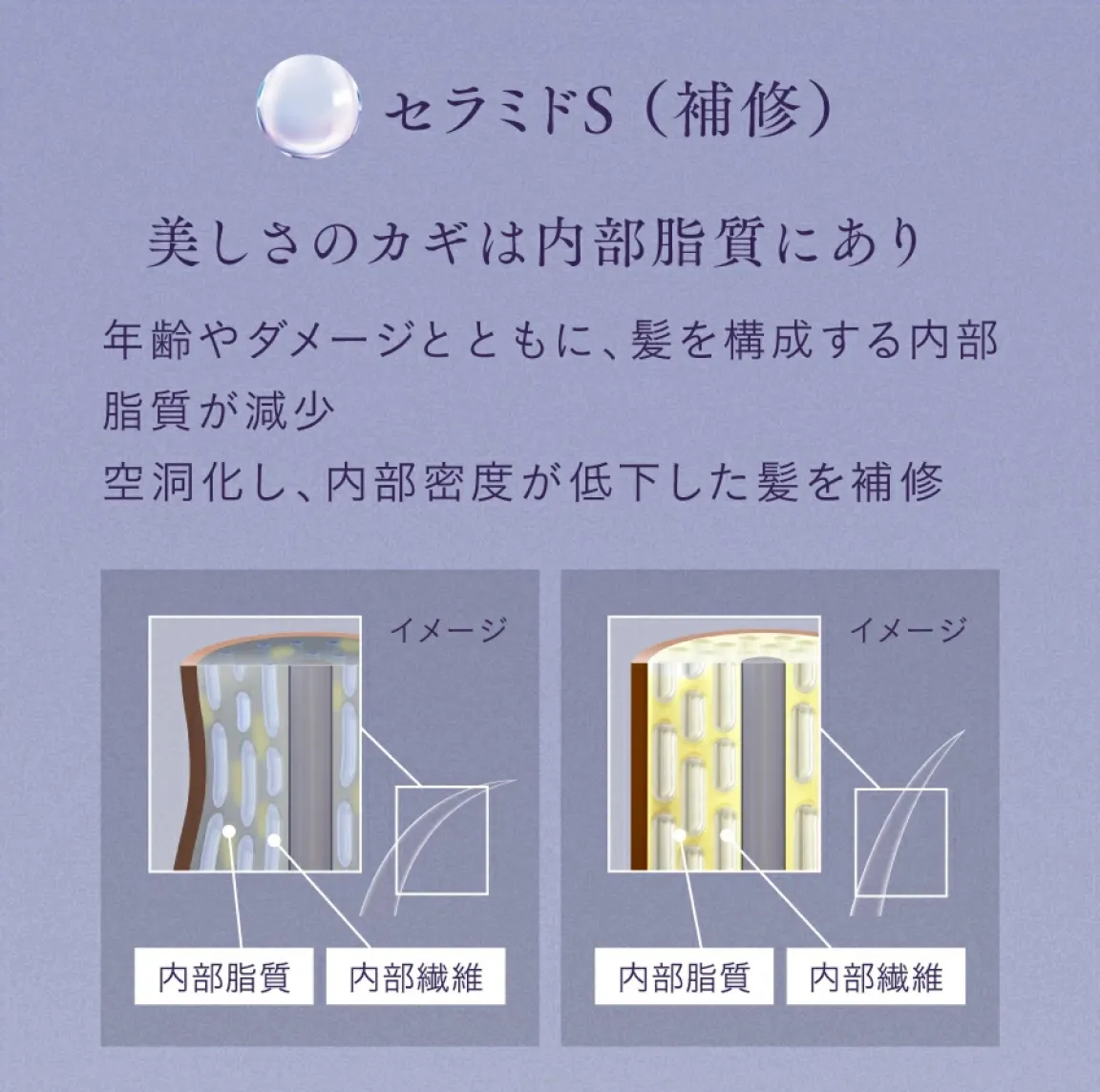 �Z���~�hS�i��C�j�B�������̃J�M�͓��������ɂ���B�N���_���[�W�ƂƂ��ɁA�����\��������������������B�󓴉����A�������x���ቺ���������C�B���������Ɠ����@�ۂ̔�r�C���[�W�}�B
