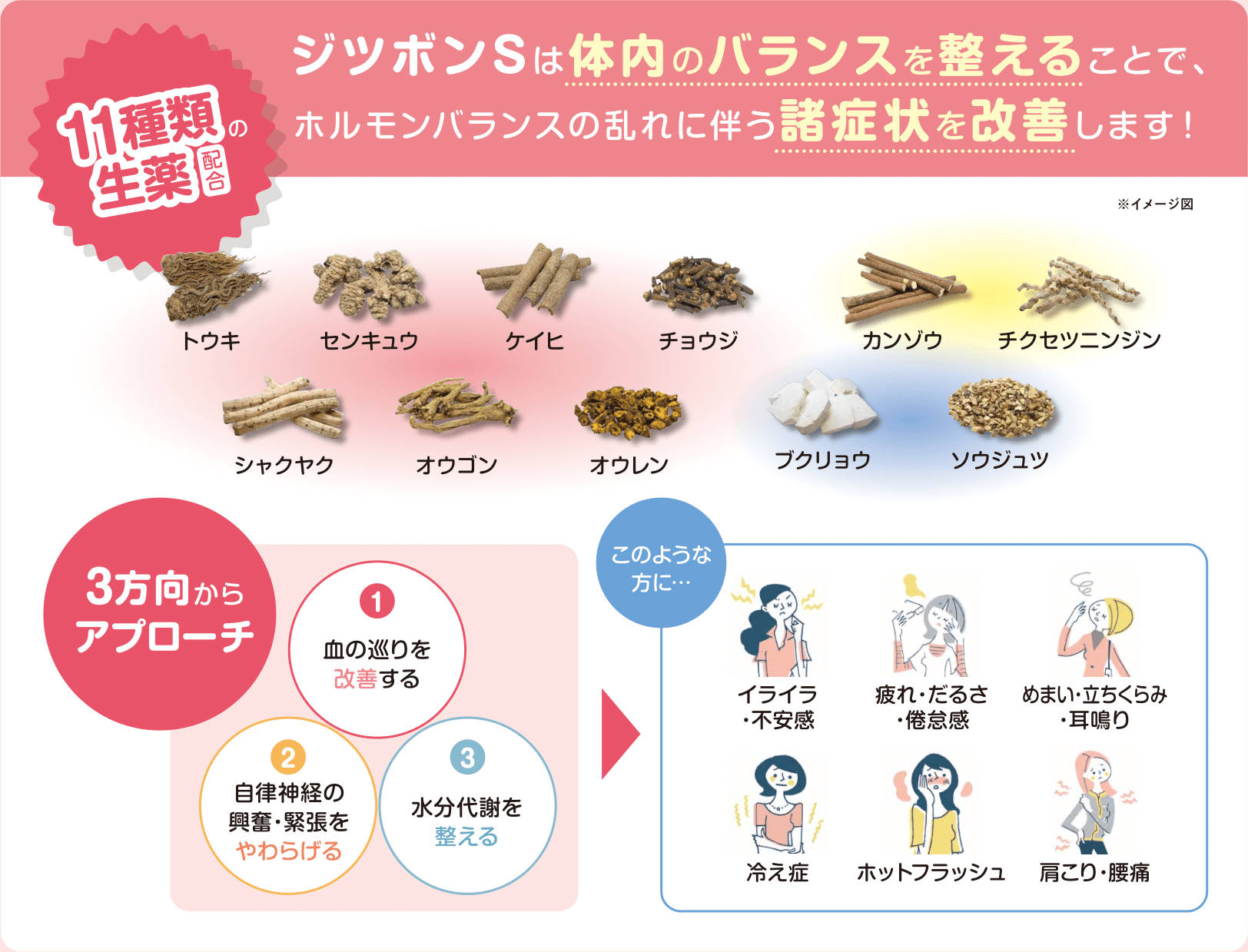 ジツボンSは体内のバランスを整えることで、ホルモンバランスの乱れに伴う諸症状を改善します！11種類の生薬配合（トウキ、センキュウ、ケイヒ、チョウジ、カンゾウ、チクセツニンジン、シャクヤク、オウゴン、オウレン、ブクリョウ、ソウジュツ）。1.血の巡りを改善する 2.自律神経の興奮・緊張をやわらげる 3.水分代謝を整える、の3方向からアプローチ。このような方に…イライラ・不安感、疲れ・だるさ・倦怠感、めまい・立ちくらみ・耳鳴り、冷え症、ホットフラッシュ、肩こり・腰痛。