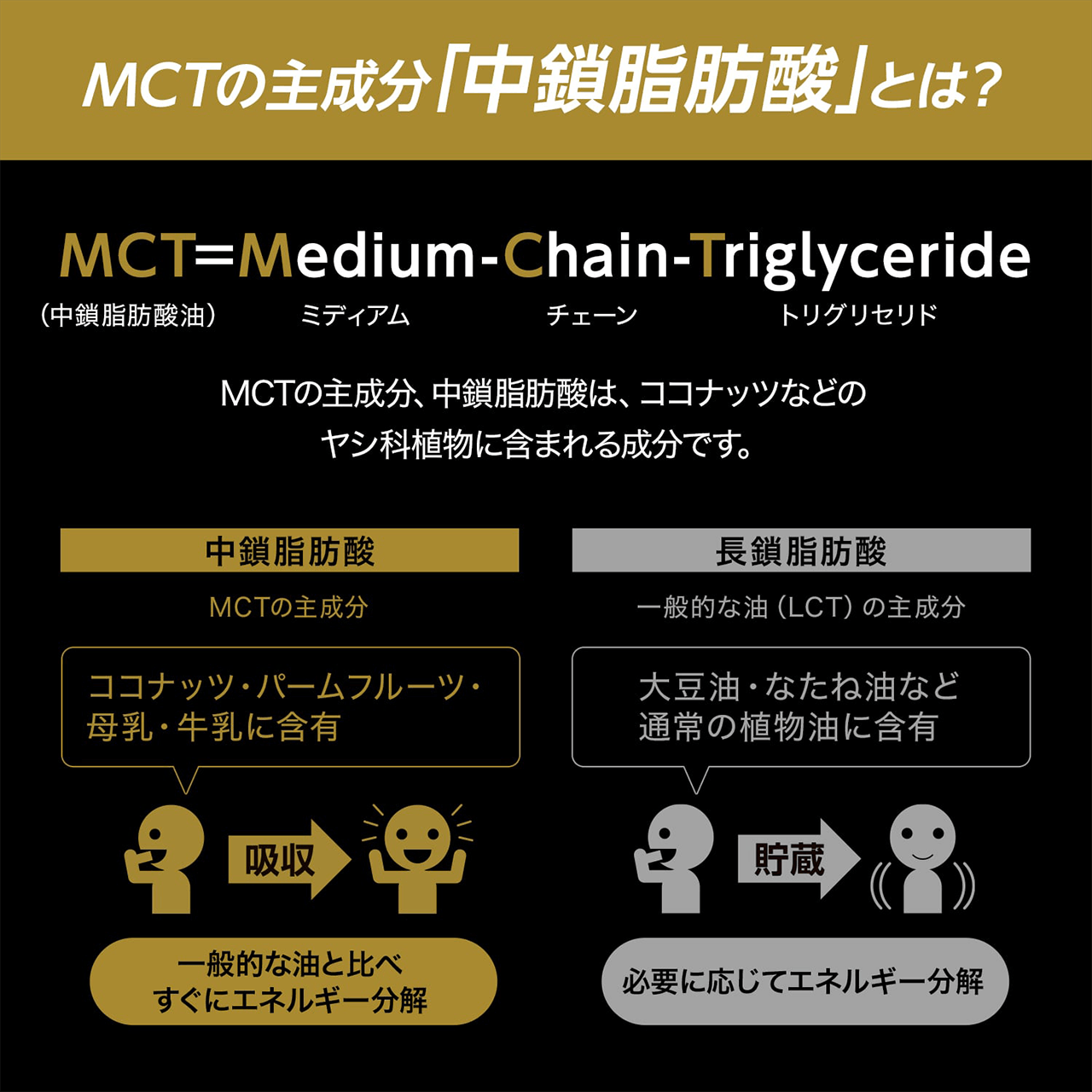 MCTの主成分「中鎖脂肪酸」とは?MCT(中鎖脂肪酸油)=Medium ミディアム-Chain チェーン-Triglyceride トリグリセリドMCTの主成分、中鎖脂肪酸は、ココナッツなどのヤシ科植物に含まれる成分です。中鎖脂肪酸 MCTの主成分 ココナッツ・パームフルーツ・母乳・牛乳に含有 吸収一般的な油と比べすぐにエネルギー分解 長鎖脂肪酸一般的な油(LCT) の主成分大豆油・なたね油など通常の植物油に含有 貯蔵必要に応じてエネルギー分解