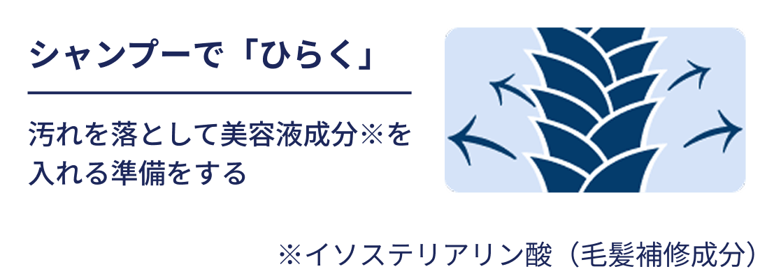 �V�����v�[�Łu�Ђ炭�v ����𗎂Ƃ��Ĕ��e�t�����������鏀�������� ���C�\�X�e���A�����_�i�є���C�����j