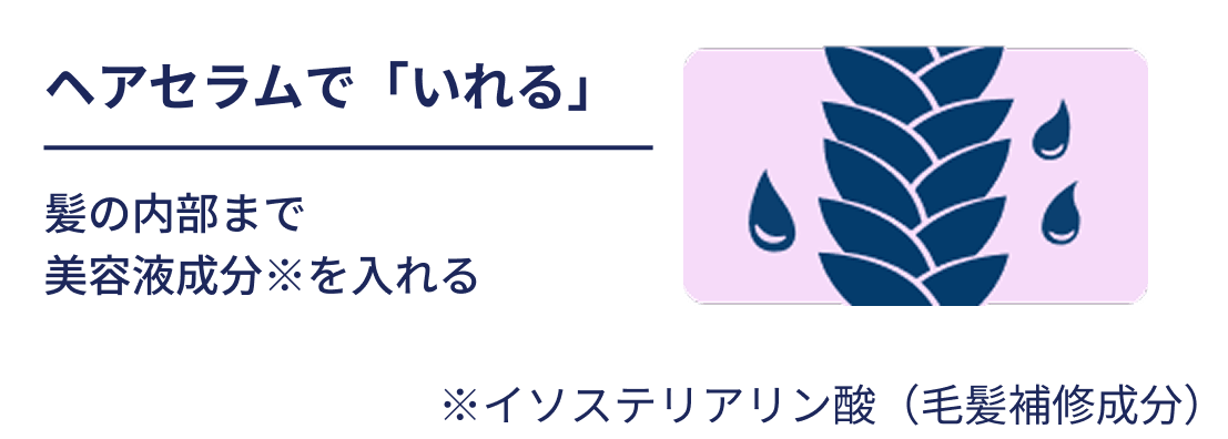 �w�A�Z�����Łu�����v ���̓����܂Ŕ��e�t������������ ���C�\�X�e���A�����_�i�є���C�����j