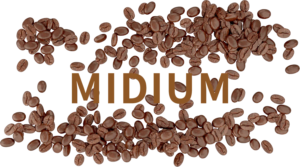 MIDIUM