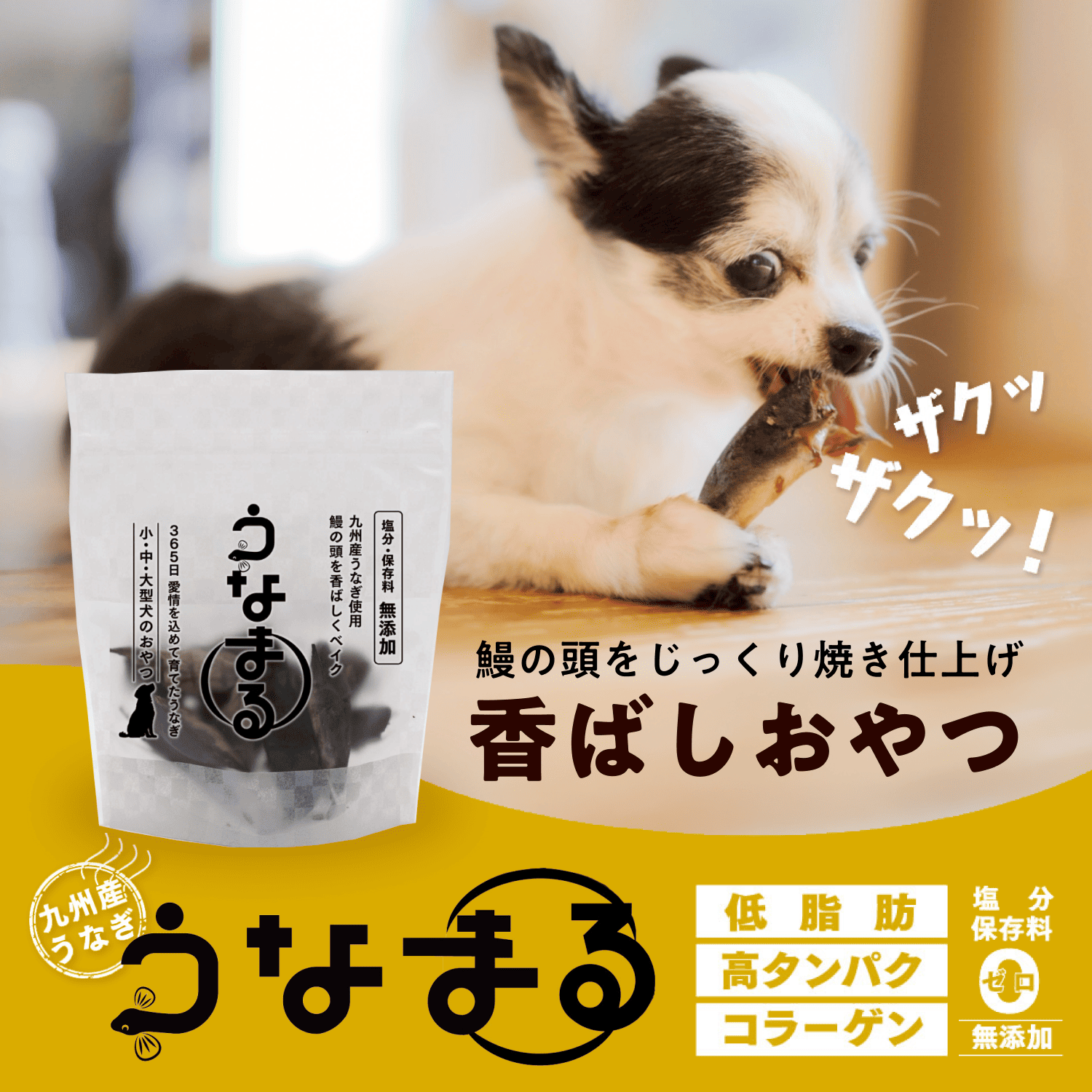 鰻の頭をじっくり焼き仕上げ 香ばしおやつ うなまる
