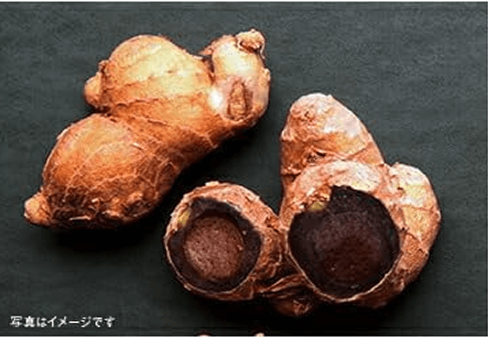 �C���[�W�摜