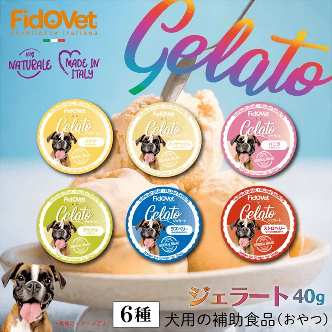 FidoVet Gelato ジェラート40g 6種 犬用の補助食品(おやつ)