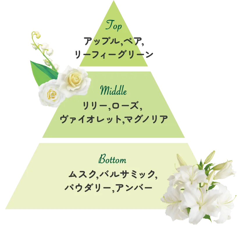香りの構成図ピラミッド。トップノート（アップル、ペア、リーフィーグリーン）、ミドルノート（リリー、ローズ、ヴァイオレット、マグノリア）、ボトムノート（ムスク、バルサミック、パウダリー、アンバー）の3層構造の香りの解説画像。