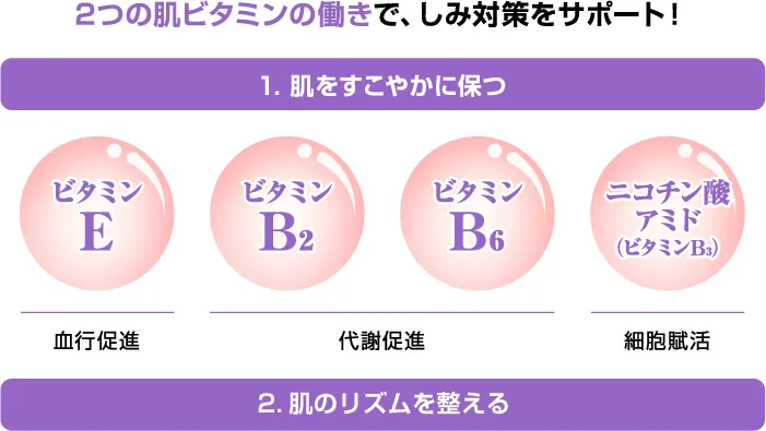 2つの肌ビタミンの働きで、しみ対策をサポート！ 1. 肌をすこやかに保つ：ビタミンE（血行促進）、ビタミンB2・ビタミンB6（代謝促進）、ニコチン酸アミド（ビタミンB3）（細胞賦活）。2. 肌のリズムを整える。