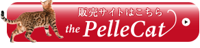 the Pelle Cat yLbg̔TCg͂