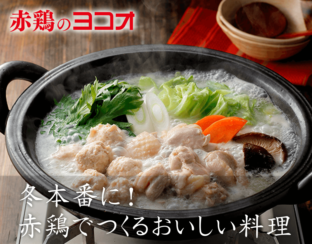 タメせる！ヨコオ「みつせ鶏・ふもと赤鶏6種詰め合わせセット」