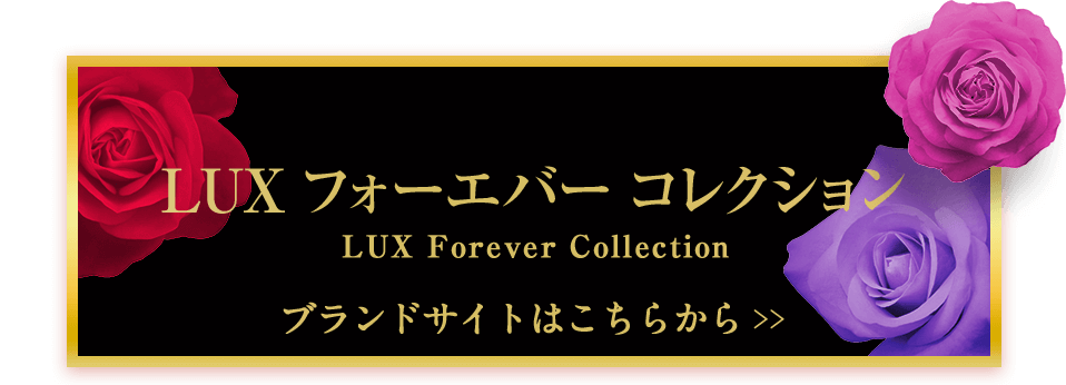 LUX tH[Go[ RNV LUX Forever Collection uhTCg͂炩>>