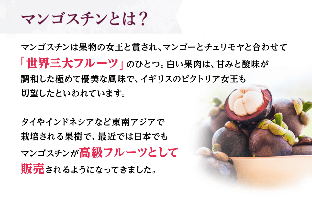 マンゴスチンとは?