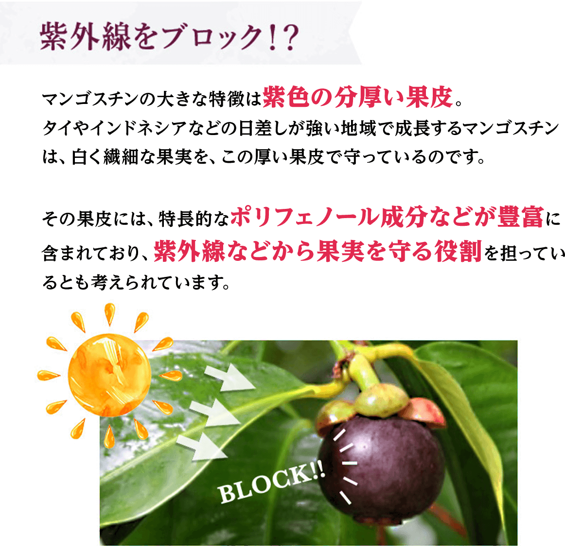 紫外線をブロック!?