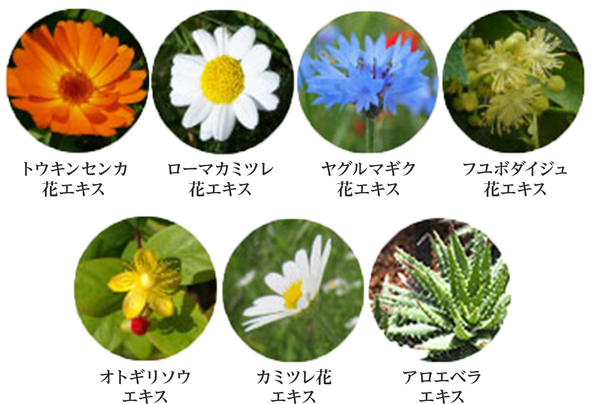 6種の植物保湿成分と、アロエベラエキスイメージ