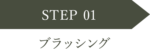 STEP 01 ブラッシング