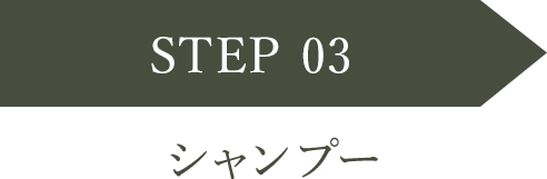 STEP 03 シャンプー