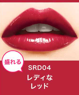 SRD04 fBȃbh