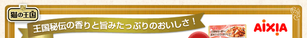 AIXIA `̍Ǝ|݂Ղ̂I