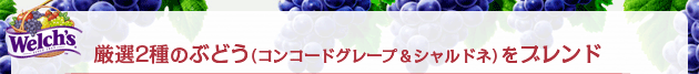 ���I2��̂Ԃǂ��i�R���R�[�h�O���[�v���V�����h�l�j���u�����h