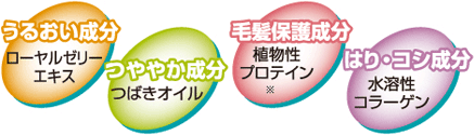 �k���邨�������@���[�����[���[�G�L�X�l�k��₩�����@�΂��I�C���l�k�є��ی쐬���@�A�����v���e�C�����l�k�͂�E�R�V�����@���n���R���[�Q���l