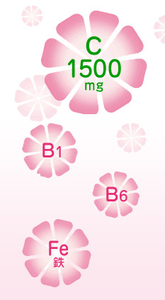 C1500mg^B1^B6^FeS