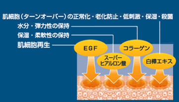EGF(肌細胞再生)、スーパーヒアルロン酸(保湿・柔軟性の保持)、コラーゲン(水分・弾力性の保持)、白樺エキス(肌細胞(ターンオーバー)の正常化・老化防止・低刺激・保湿・殺菌