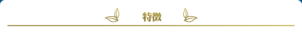 特徴
