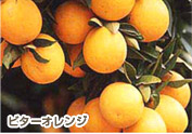 �r�^�[�I�����W
