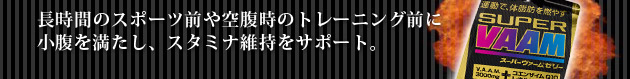 Ԃ̃X|[cO󕠎̃g[jOOɏ𖞂AX^~iێT|[gB
