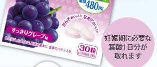 �D�P���ɕK�v�ȗt�_�P���������܂�