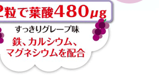 �Q���ŗt�_480��g��������O���[�v���@�S�A�J���V�E���A�}�O�l�V�E����z��