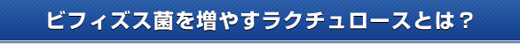 �r�t�B�Y�X�ۂ𑝂₷���N�`�����[�X�Ƃ́H
