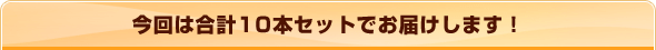 ����͍��v10�{�Z�b�g�ł��͂����܂��I