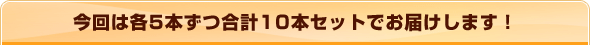 ����͊e5�{�����v10�{�Z�b�g�ł��͂����܂��I