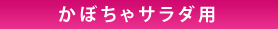 ���ڂ���T���_�p