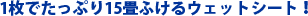 1���ł����Ղ�15��ӂ���E�F�b�g�V�[�g�I
