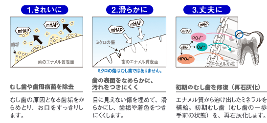 1.���ꂢ�� �����⎕���a�ۂ����� �����̌����ƂȂ鎕�C������߂Ƃ�A�����̒����������肵�܂��B 2.���炩�� ���̕\�ʂ��Ȃ߂炩�ɁA��������ɂ��� �ڂɌ����Ȃ����𖄂߂āA���炩�ɂ��A���C�⒅�F�����ɂ������܂��B 3.��v�� �����̒������C���i�ĐΊD���j �G�i����������n���o�����~�l������⋋�B�����ނ����i�ނ����̈����O�̏�ԁj���A�ŐΊD�����܂��B