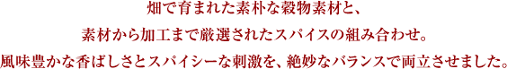 畑で育まれた素朴な穀物素材と、素材から加工まで厳選されたスパイスの組み合わせ。風味豊かな香ばしさとスパイシーな刺激を、絶妙なバランスで両立させました。