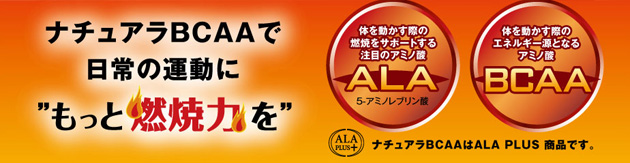 �i�`����BCAA�œ���̉^����&ldquo;�����ƔR�ė͂�&rdquo;